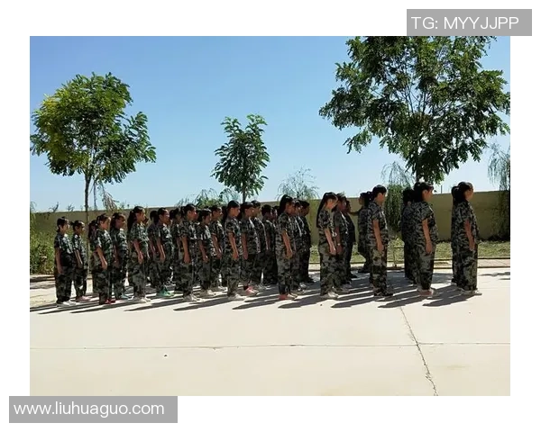 张磊的王者荣耀人生探索与深度对话揭示游戏背后的成长与挑战